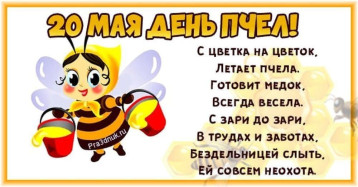Всемирный день пчёл Всемирный день пчёл.
