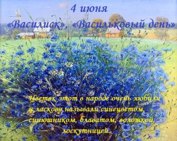 Васильковый день Васильковый день.