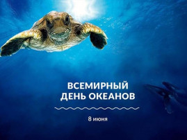 Всемирный день океанов Всемирный день океанов.
