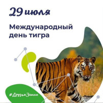 День тигра День тигра.