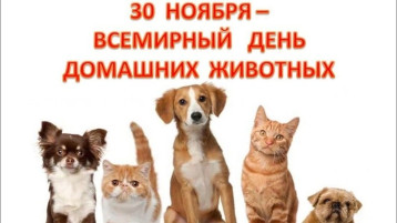 Всемирный день домашних животных. Всемирный день домашних животных.