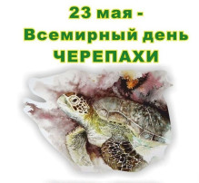 "День черепахи" "День черепахи".
