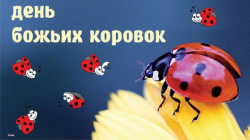 День божьих коровок День божьих коровок.