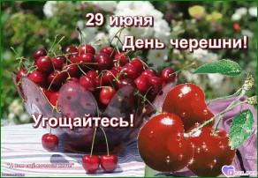День черешни группа Зайчата День черешни группа Зайчата.