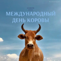 Международный день коровы Международный день коровы.