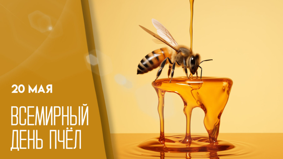 День пчёл, группа "Медвежата" День пчёл, группа "Медвежата".