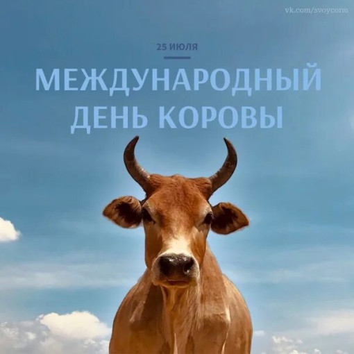 Международный день коровы Международный день коровы.