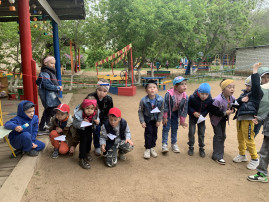 группа Синички группа Синички.