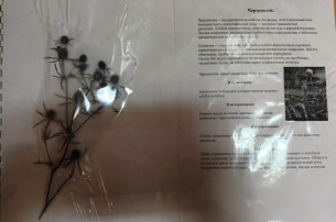 группа Бельчата группа Бельчата.