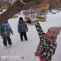 группа Кузнечики группа Кузнечики.