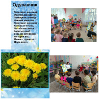 группа Тигрята группа Тигрята.