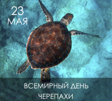 группа Воробушки и Рыбки группа Воробушки и Рыбки.